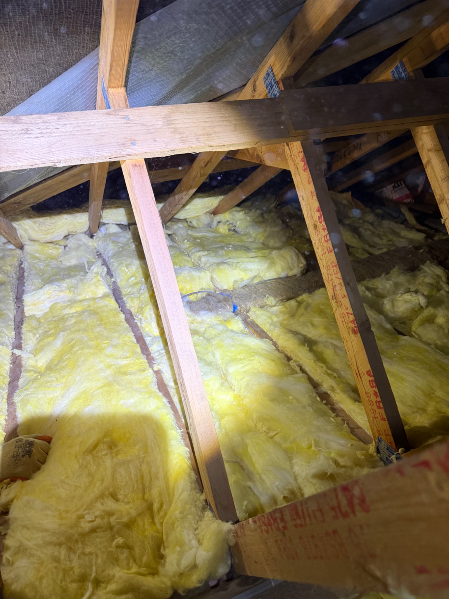 Loft insulation removal and replacement in Carlisle