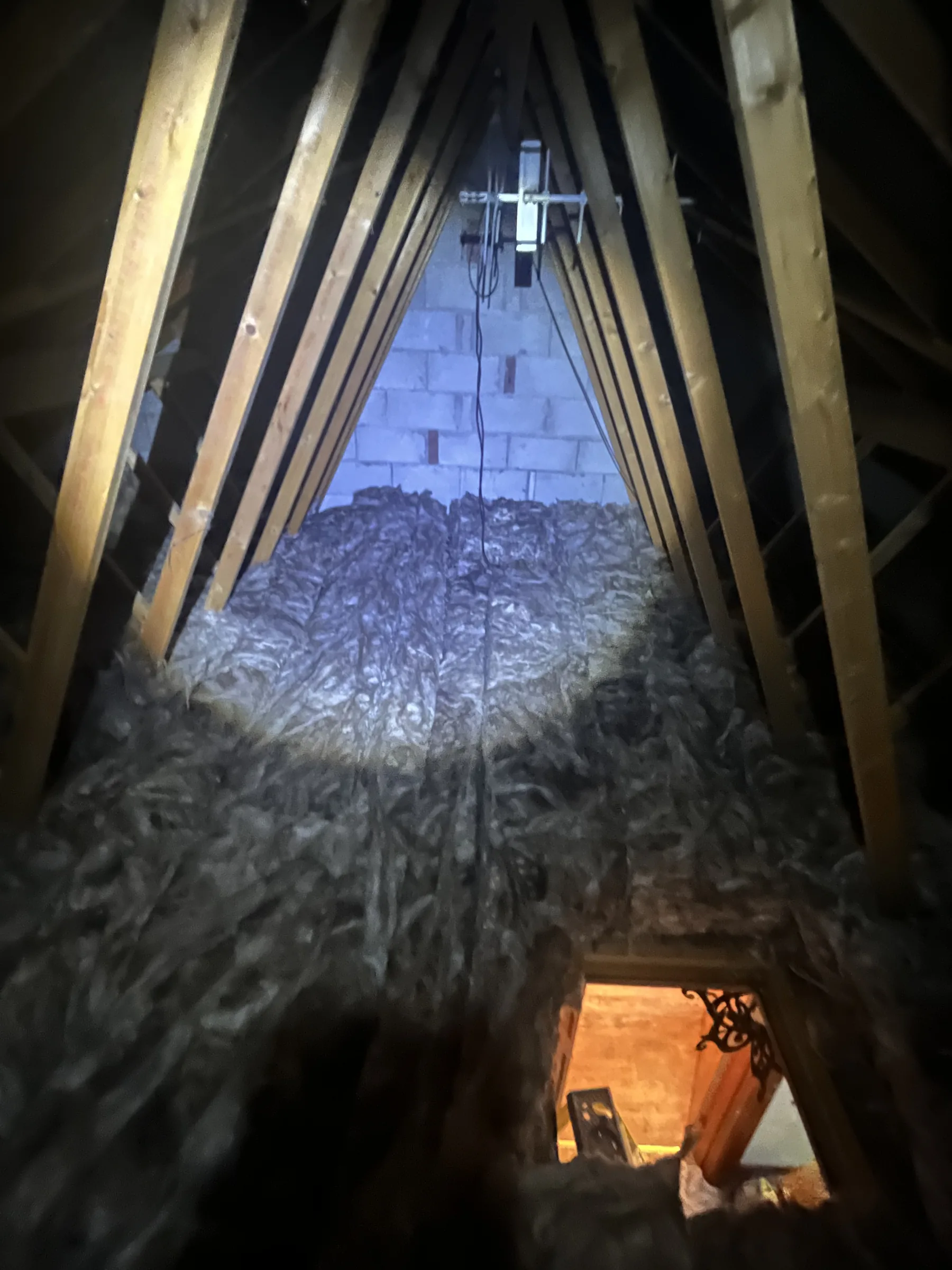 Loft Insulation: When to Remove vs When to Top Up